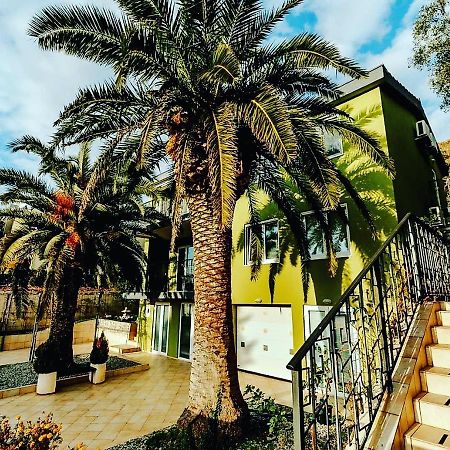 Palm Point Apartment Petrovac Exterior foto