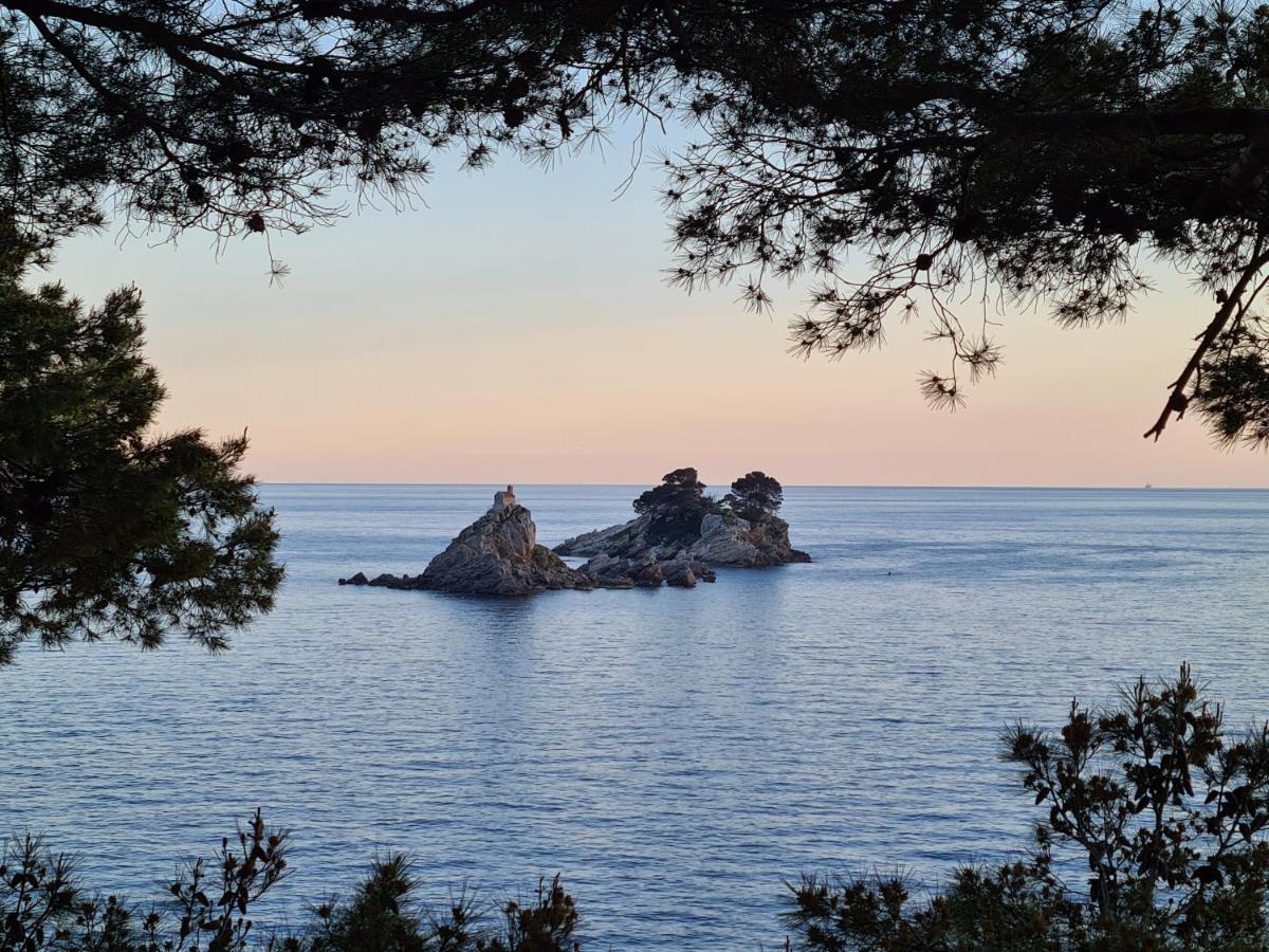 Palm Point Apartment Petrovac Exterior foto