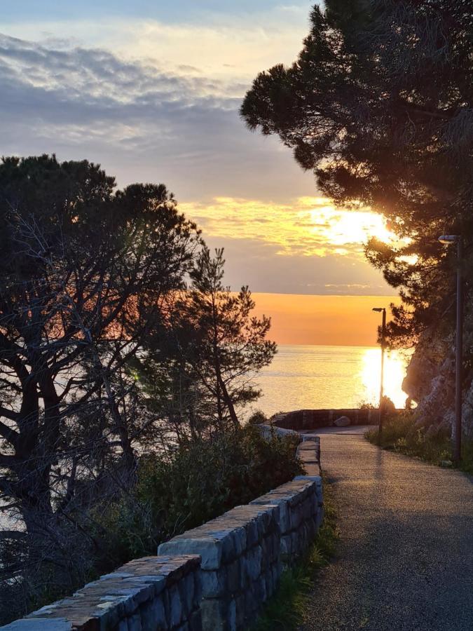 Palm Point Apartment Petrovac Exterior foto